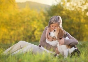 Companion Care at Home Severn MD - Fostering Pets Is A Fantastic Opportunity For Seniors