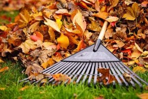 Home Care Assistance Towson MD - How Seniors Can Get Their Homes Ready For Fall